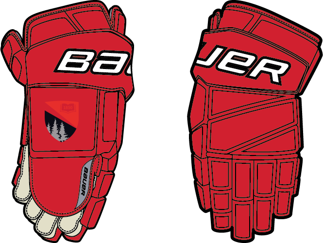 Bauer Vapor Pro Custom Gloves SR - FGS