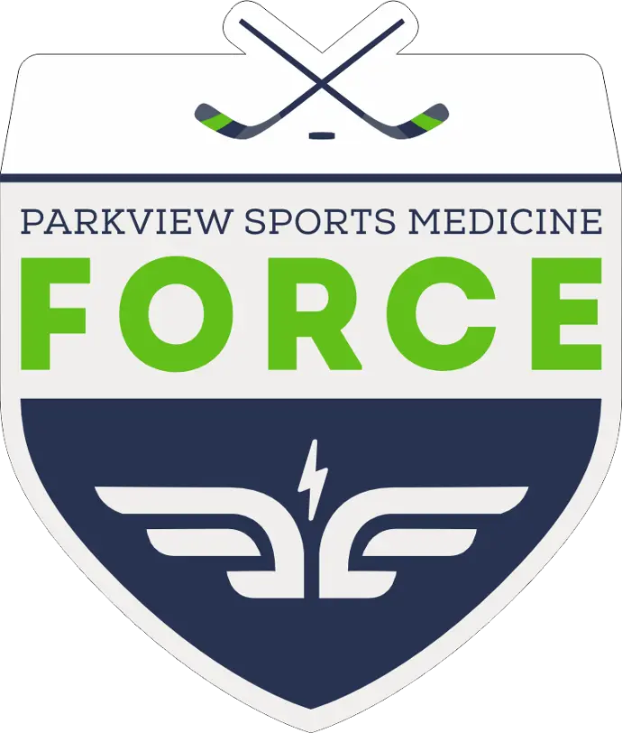 FORCE STOCK CAR WINDOW DECAL