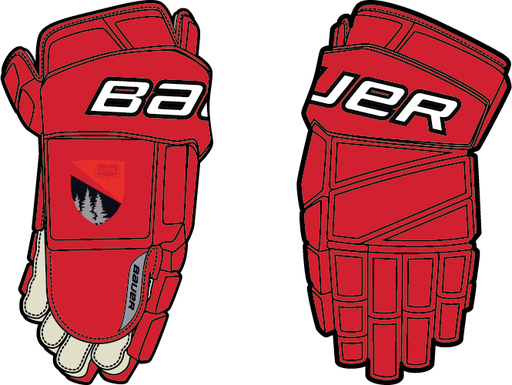 Bauer Vapor Pro Custom Gloves INT - FGS